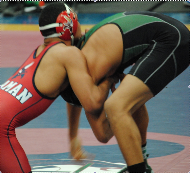 Wrestling maintains high hopes for state