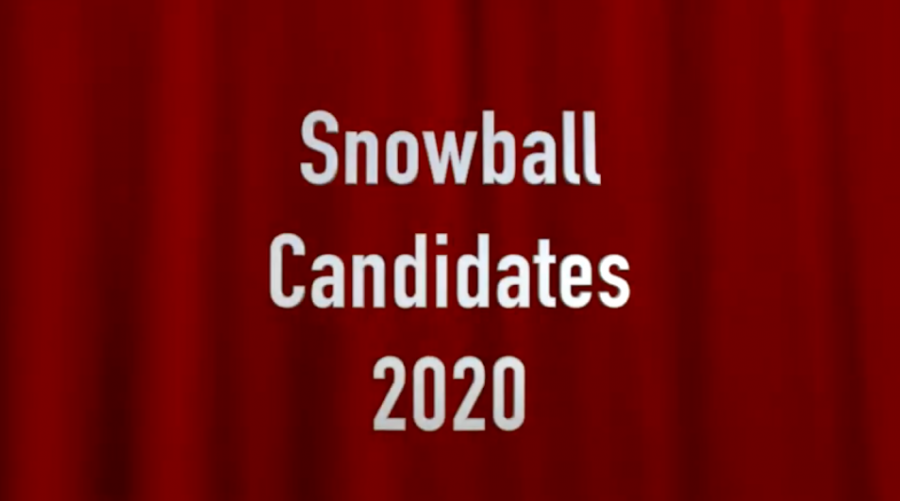 Snowball Candidates 2020