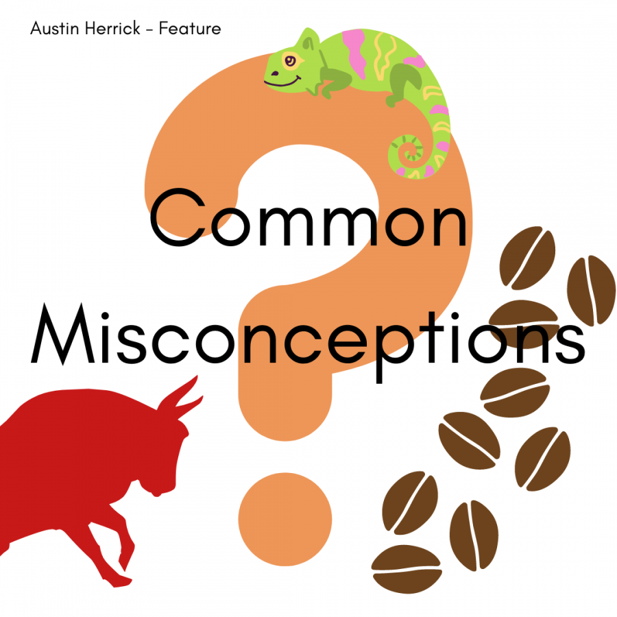 Common Misconceptions that you may believe in